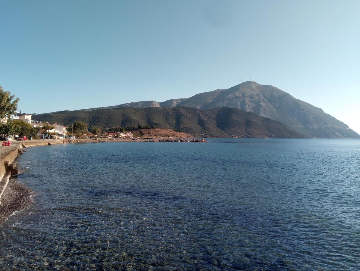 Villa The Platanus Tree Kato Vasiliki Buitenkant foto
