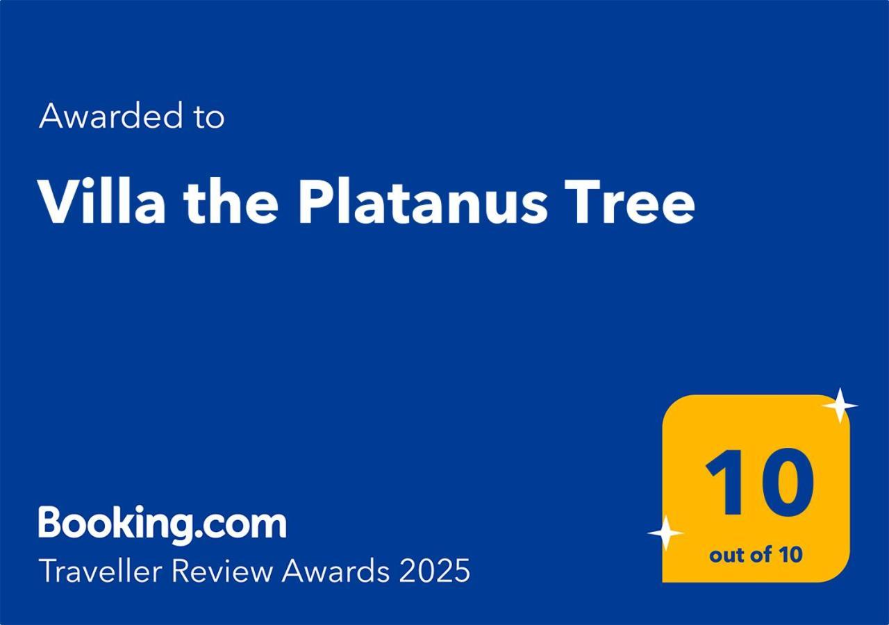 Villa The Platanus Tree Kato Vasiliki Buitenkant foto