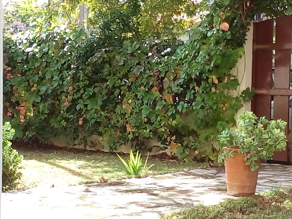 Villa The Platanus Tree Kato Vasiliki Buitenkant foto