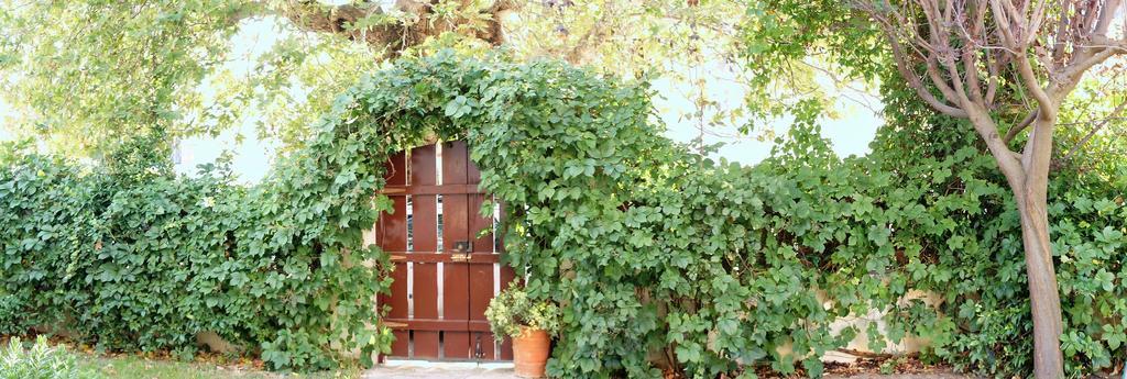 Villa The Platanus Tree Kato Vasiliki Buitenkant foto