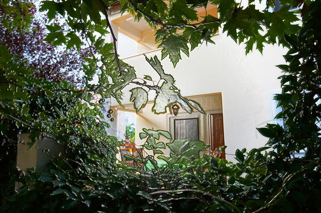 Villa The Platanus Tree Kato Vasiliki Buitenkant foto