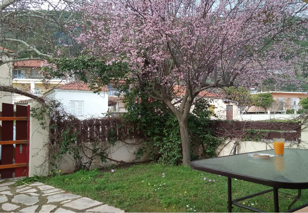 Villa The Platanus Tree Kato Vasiliki Buitenkant foto